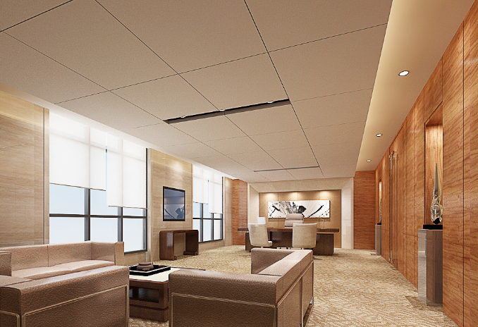 上海辦公室裝修設(shè)計(jì)：平安樹(shù)挑選全攻略，打造綠色辦公新體驗(yàn)！