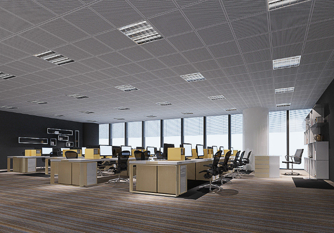 上海辦公室裝修設計：銅錢草，如何巧妙融入空間美學？